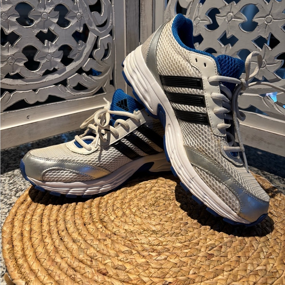 Adidas Metallic Silver and Blue Sneakers